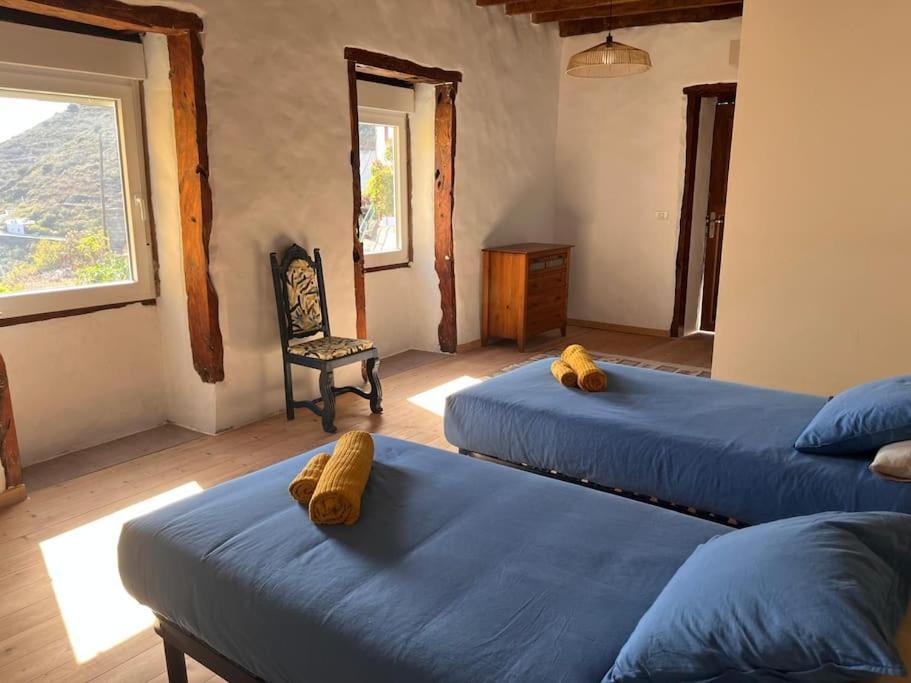 La Casa Del Aguacate Villa Sabinosa Luaran gambar